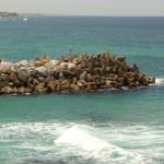 Narooma